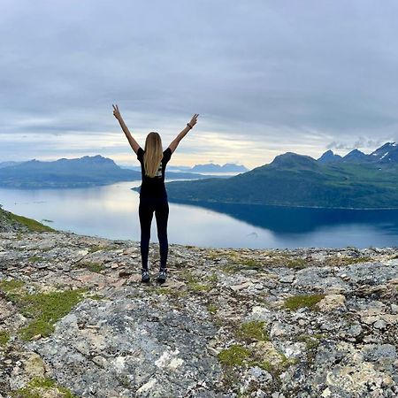 Artic Dream Leilighet Gratangen Eksteriør bilde