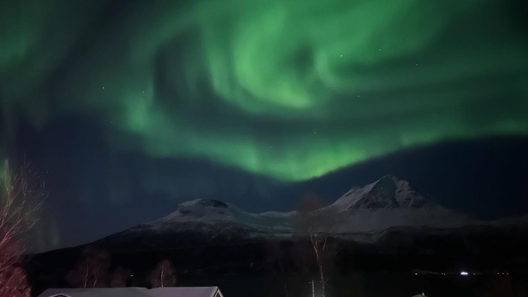 Artic Dream Leilighet Gratangen Eksteriør bilde
