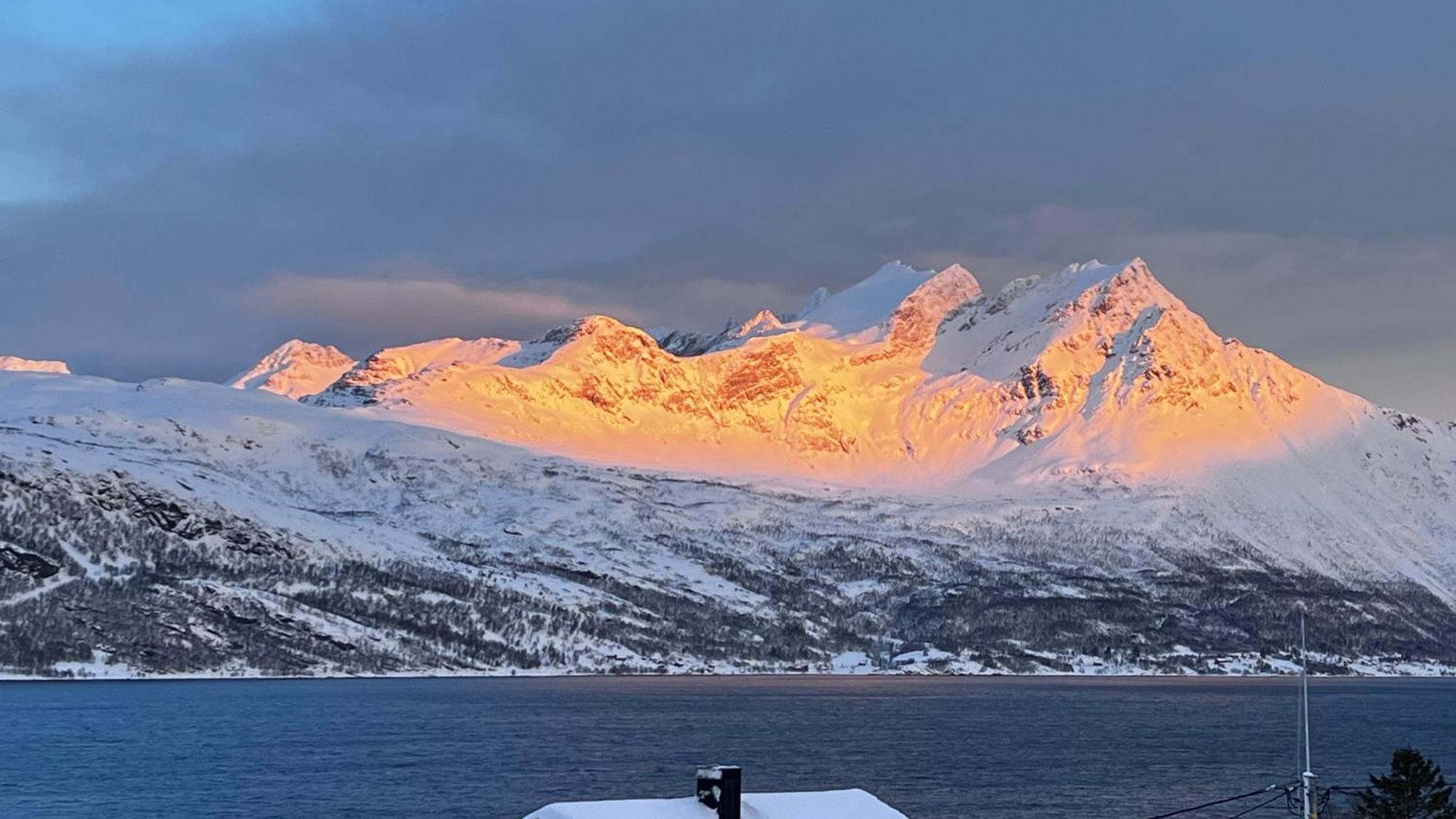 Artic Dream Leilighet Gratangen Eksteriør bilde