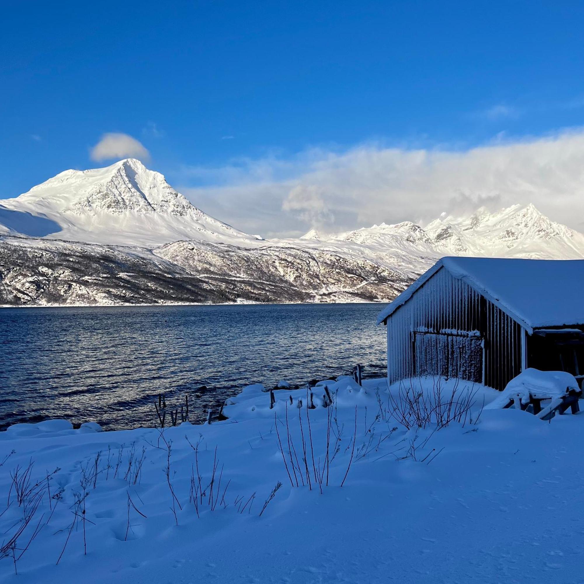 Artic Dream Leilighet Gratangen Eksteriør bilde